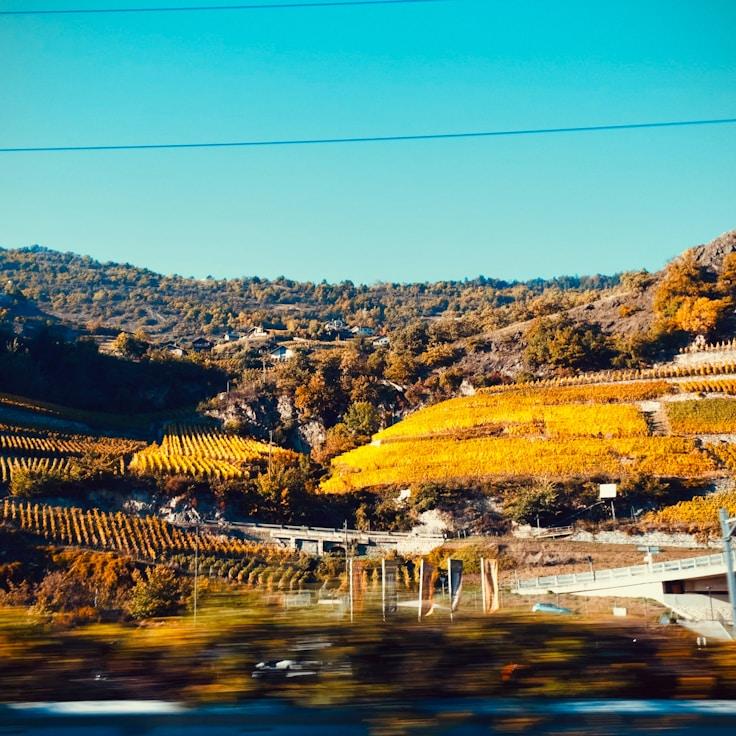 Kids playground area in United Kingdom
